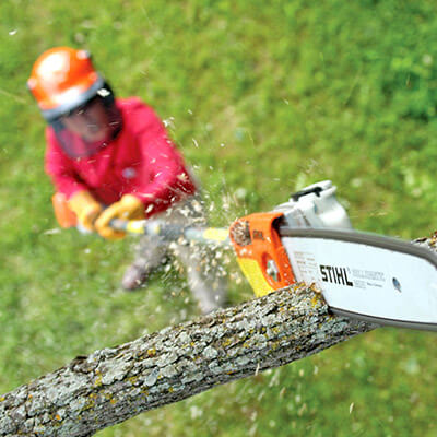 Photo illustration réalisations DEBARRE Jean Paca-Services 13 - Elagage et Services en région PACA