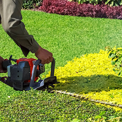 Photo illustration réalisations DEBARRE Jean Paca-Services 14 - Elagage et Services en région PACA