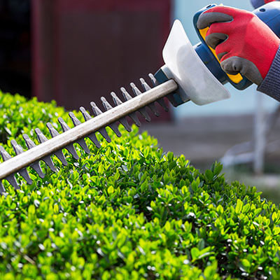 Photo illustration réalisations DEBARRE Jean Paca-Services 15 - Elagage et Services en région PACA