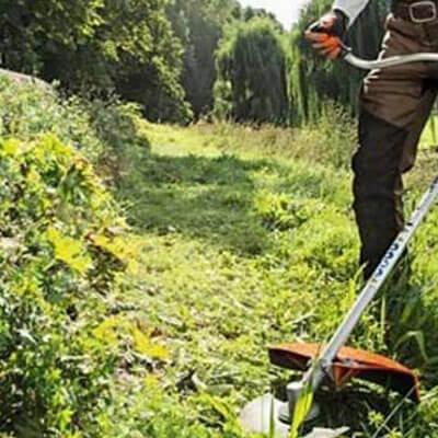 Photo illustration réalisations DEBARRE Jean Paca-Services 18 - Elagage et Services en région PACA