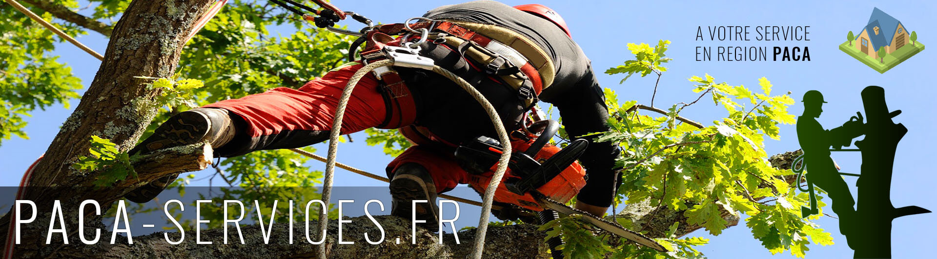 PACA Services Elagage et Services en région PACA