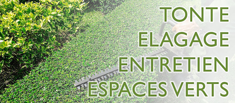 Photo illustration tonte élagage entretien des espaces verts DEBARRE Jean Paca-Services